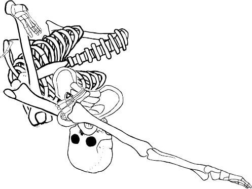 Dem bones dem bones dem – dry bones!