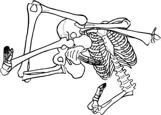Dem bones dem bones dem – dry bones!