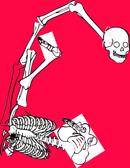 Dem bones dem bones dem – dry bones!