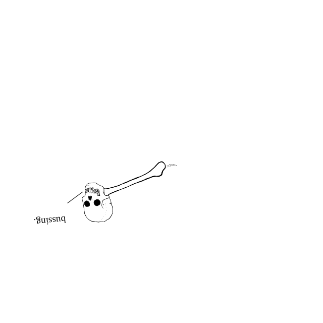Dem bones dem bones dem – dry bones!