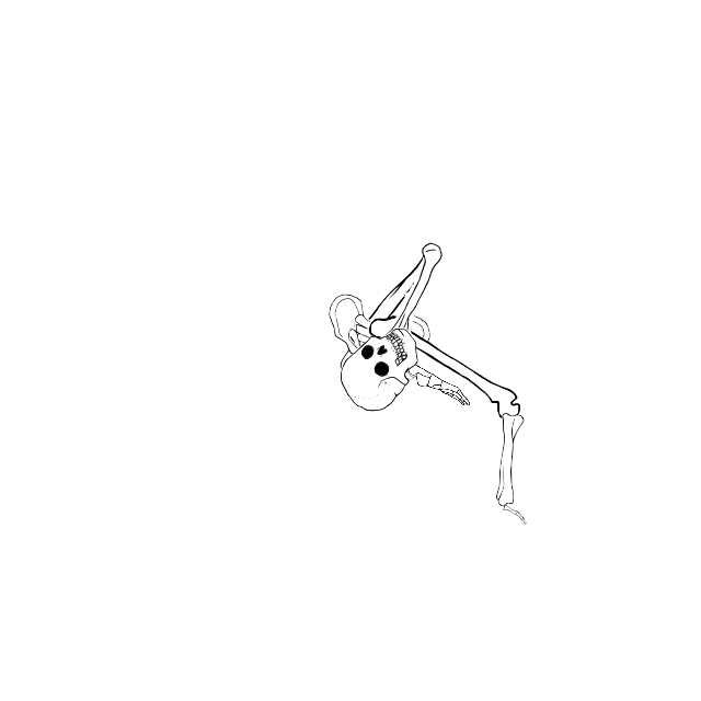 Dem bones dem bones dem – dry bones!