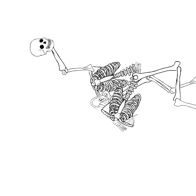 Dem bones dem bones dem – dry bones!