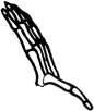 Dem bones dem bones dem – dry bones!