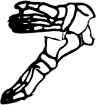 Dem bones dem bones dem – dry bones!
