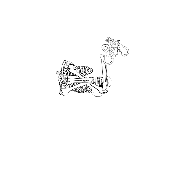 Dem bones dem bones dem – dry bones!