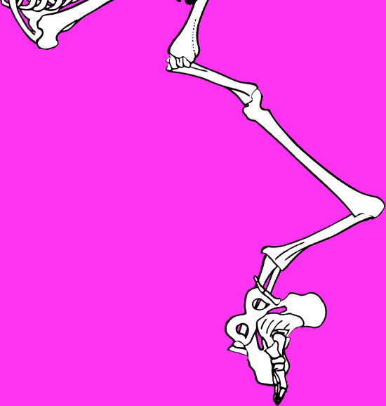 Dem bones dem bones dem – dry bones!
