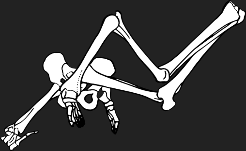 Dem bones dem bones dem – dry bones!