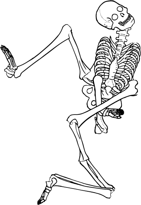 Dem bones dem bones dem – dry bones!