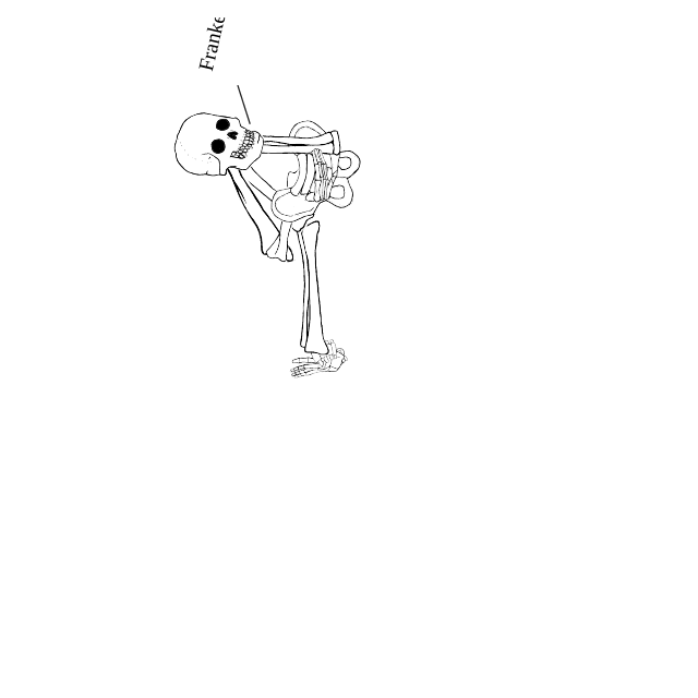 Dem bones dem bones dem – dry bones!