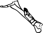Dem bones dem bones dem – dry bones!