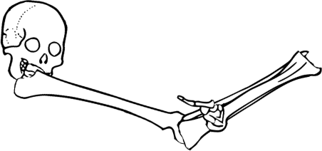 Dem bones dem bones dem – dry bones!