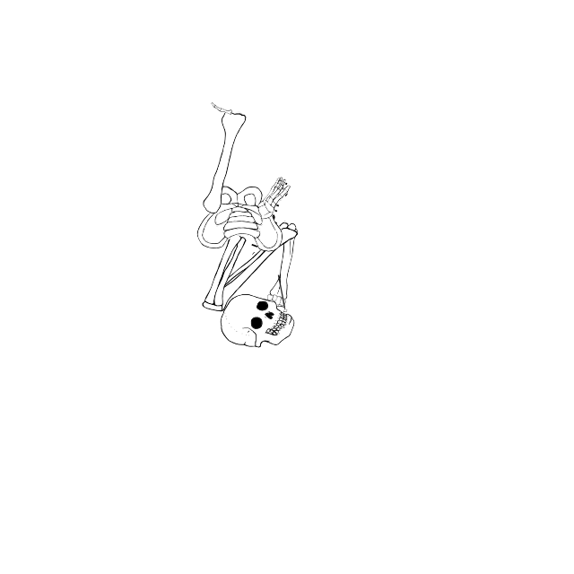 Dem bones dem bones dem – dry bones!