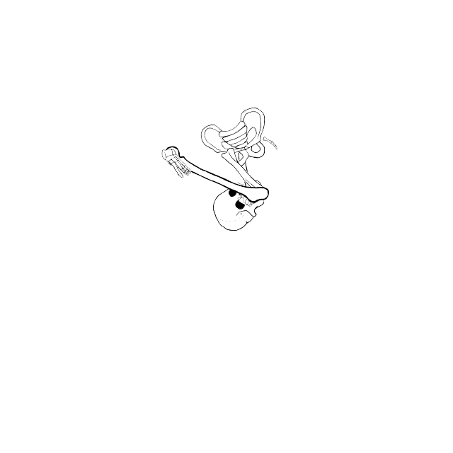 Dem bones dem bones dem – dry bones!