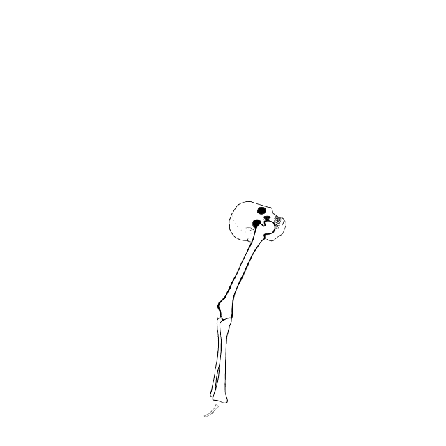 Dem bones dem bones dem – dry bones!