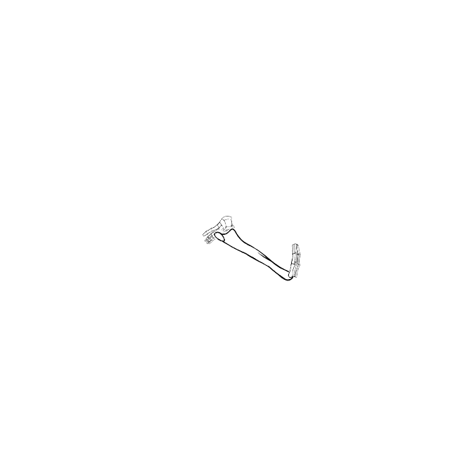 Dem bones dem bones dem – dry bones!