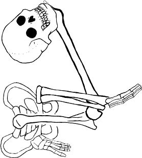 Dem bones dem bones dem – dry bones!