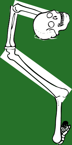 Dem bones dem bones dem – dry bones!