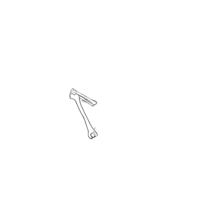 Dem bones dem bones dem – dry bones!