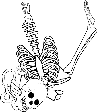 Dem bones dem bones dem – dry bones!