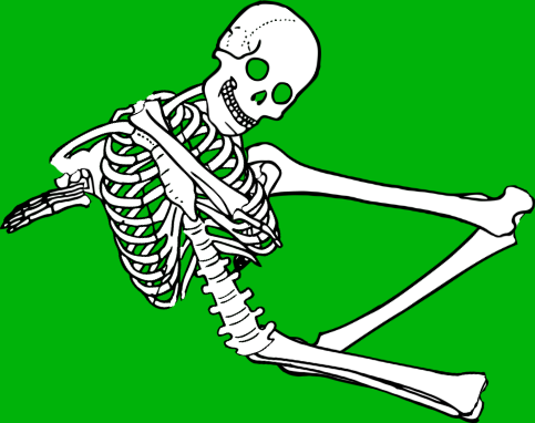 Dem bones dem bones dem – dry bones! Dem bones dem bones dem – extra bones!