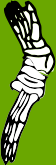 Dem bones dem bones dem – dry bones!