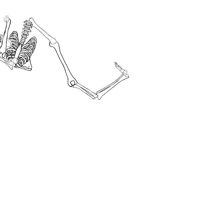 Dem bones dem bones dem – dry bones!