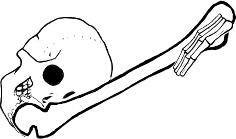 Dem bones dem bones dem – dry bones!