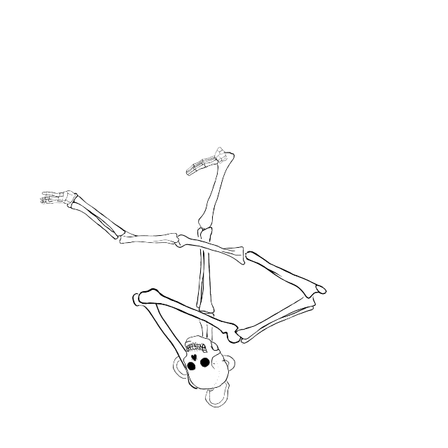 Dem bones dem bones dem – dry bones!