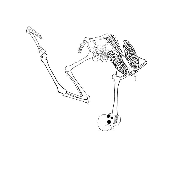 Dem bones dem bones dem – dry bones!