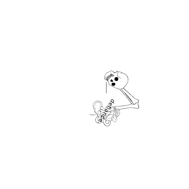 Dem bones dem bones dem – dry bones!