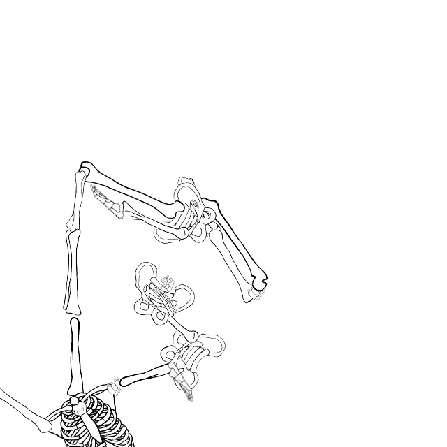 Dem bones dem bones dem – dry bones!