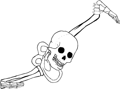 Dem bones dem bones dem – dry bones!
