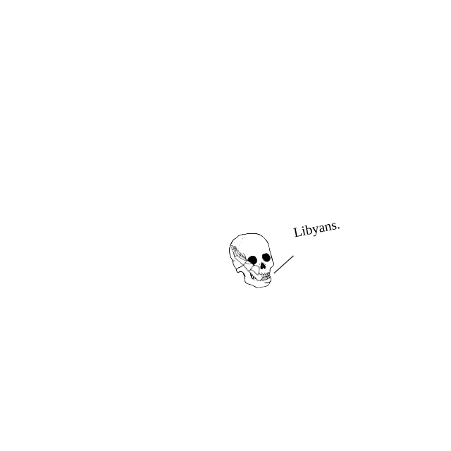Dem bones dem bones dem – dry bones!