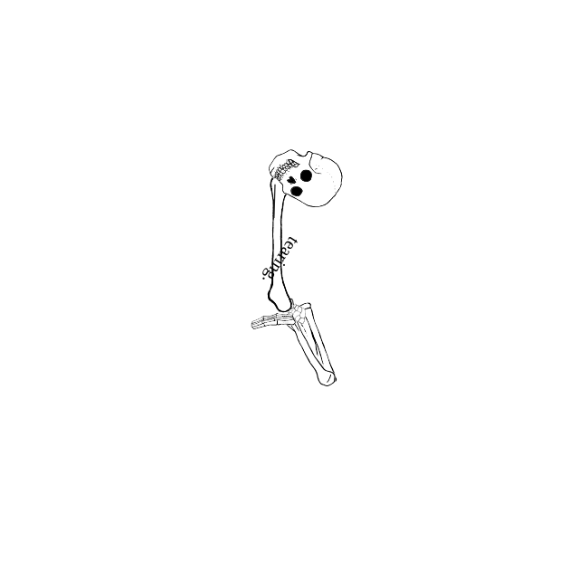 Dem bones dem bones dem – dry bones!