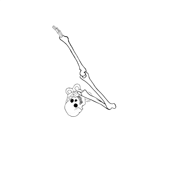 Dem bones dem bones dem – dry bones!