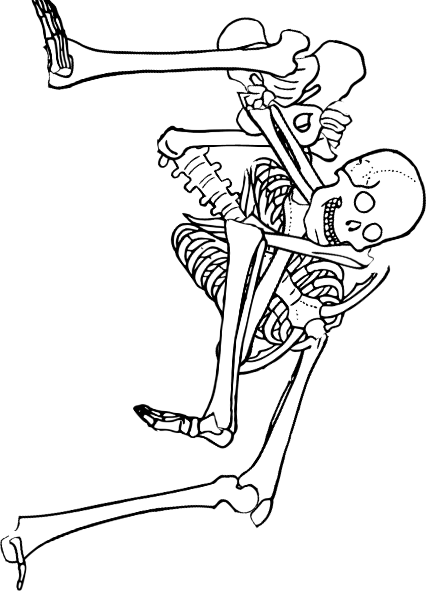Dem bones dem bones dem – dry bones!
