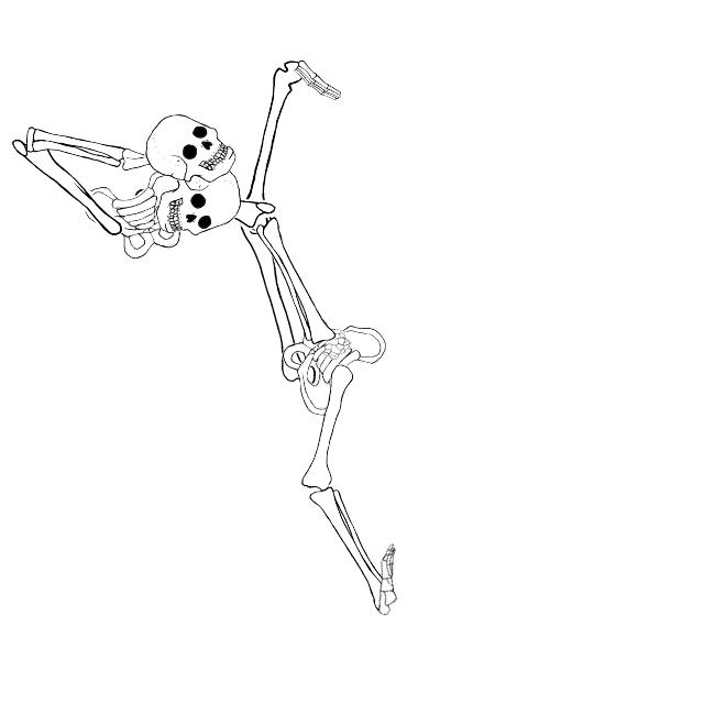 Dem bones dem bones dem – dry bones!