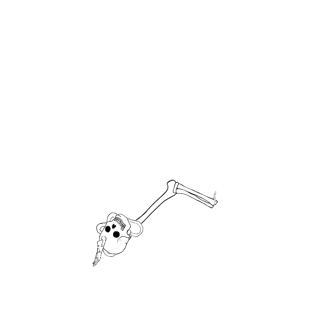 Dem bones dem bones dem – dry bones!