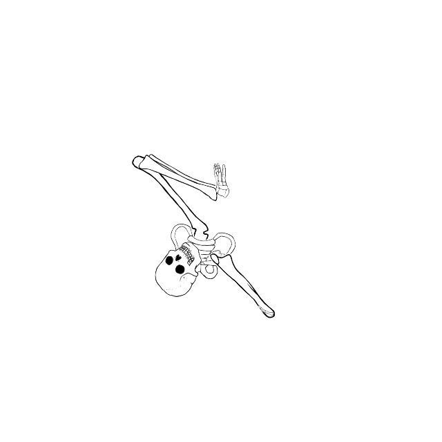 Dem bones dem bones dem – dry bones!