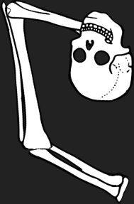 Dem bones dem bones dem – dry bones!
