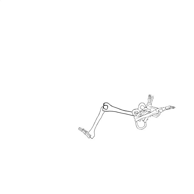 Dem bones dem bones dem – dry bones!
