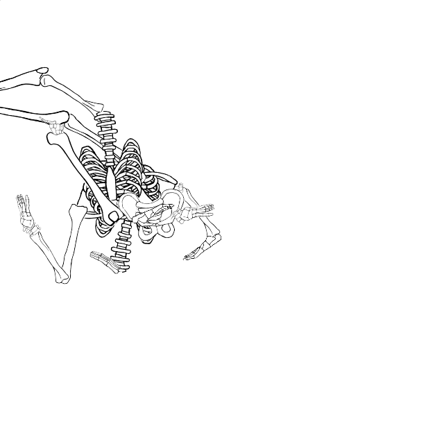 Dem bones dem bones dem – dry bones!