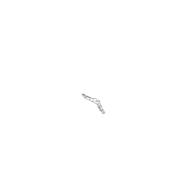 Dem bones dem bones dem – dry bones!