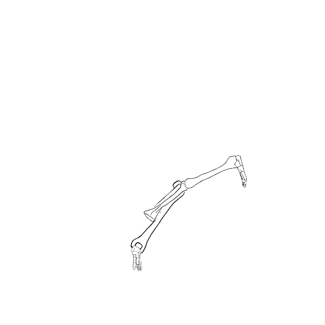 Dem bones dem bones dem – dry bones!