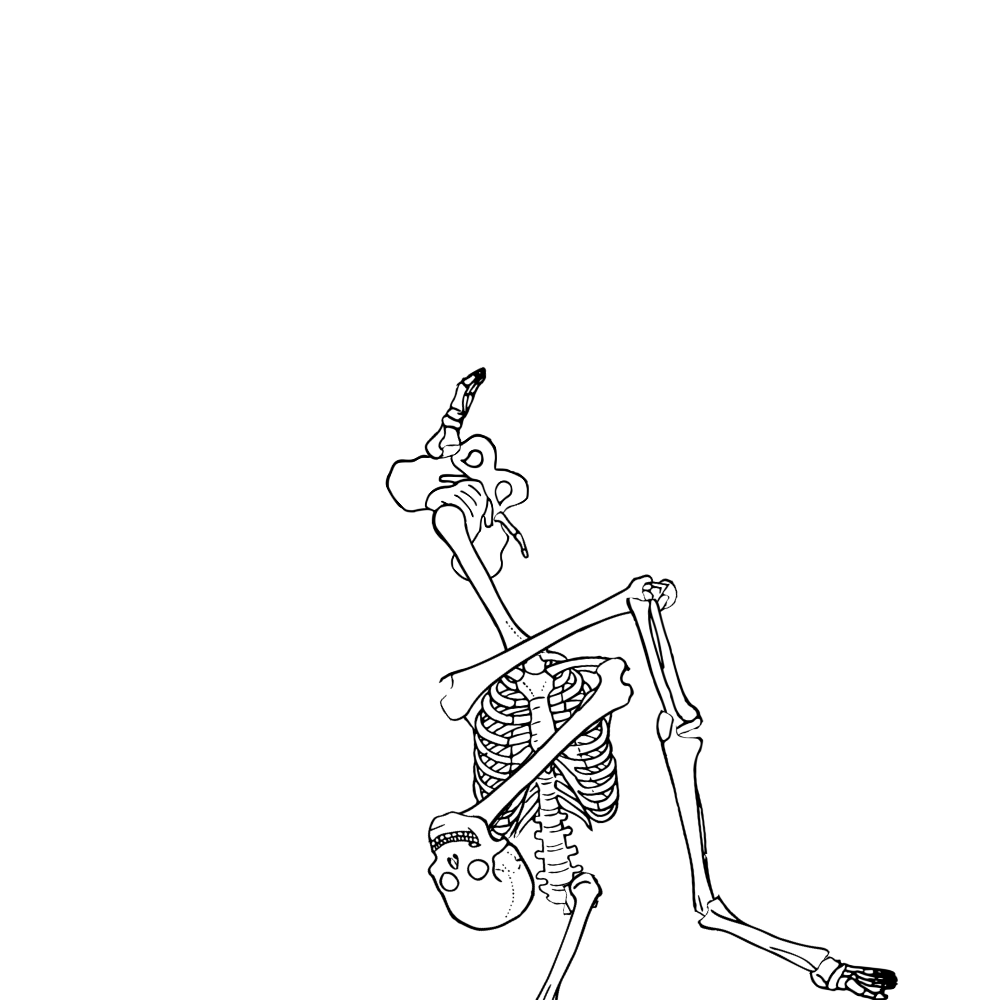 Dem bones dem bones dem – dry bones!