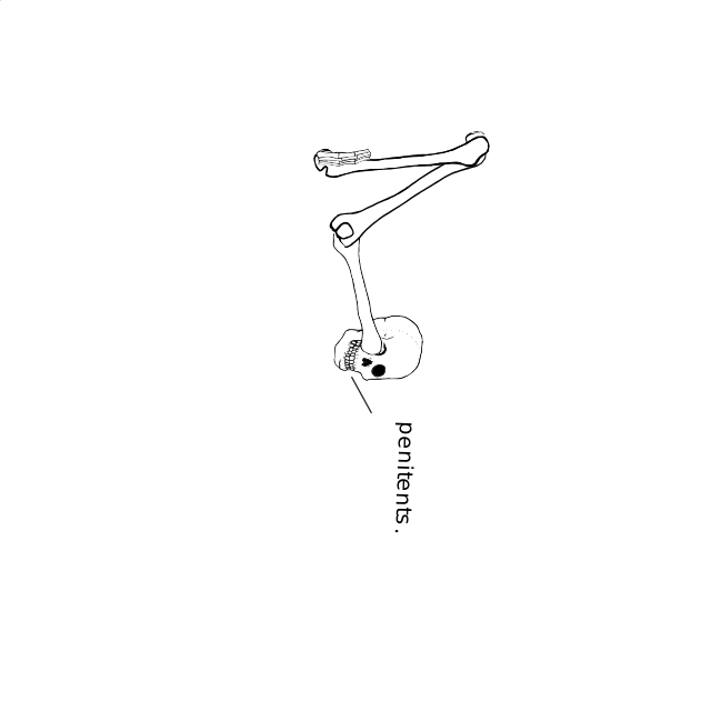 Dem bones dem bones dem – dry bones!