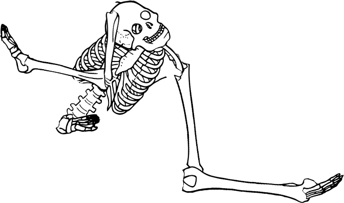 Dem bones dem bones dem – dry bones!