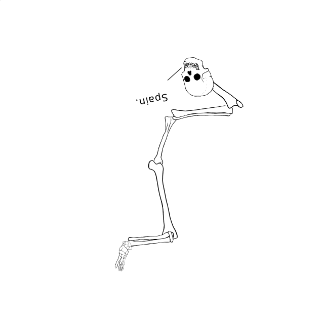 Dem bones dem bones dem – dry bones!