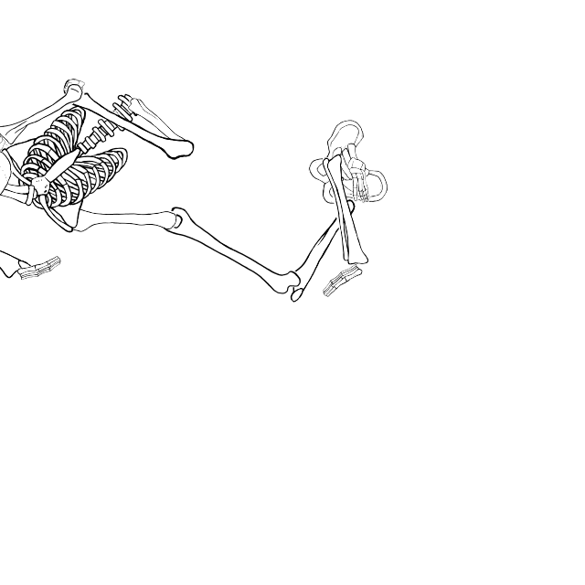 Dem bones dem bones dem – dry bones!