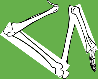 Dem bones dem bones dem – dry bones!